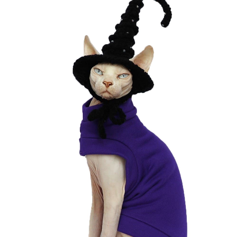 Halloween Kostüme für Kätzchen | Katze Halloween Kostüm - lila dick