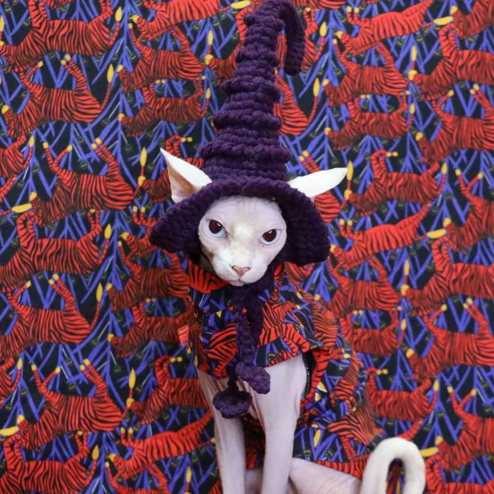 Kitty Cat Costume For Halloween | A "Must-have" Halloween Costume