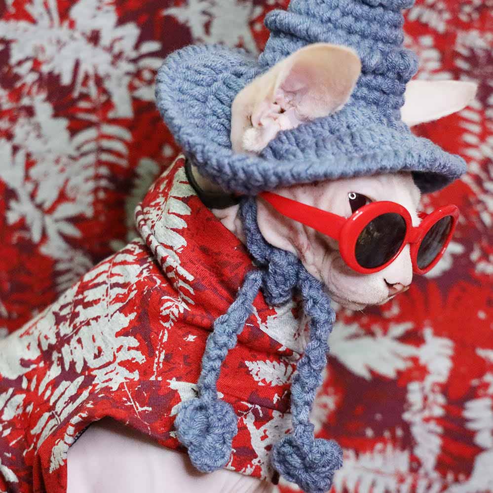Cat Clothes For Halloween | A "Must-have" Halloween Cat Costume