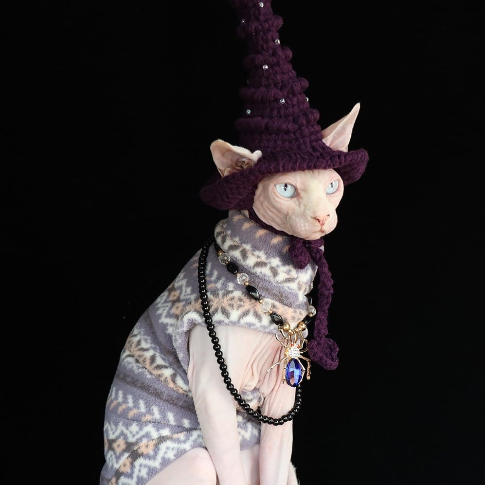 Hairless Cat In Halloween Costume Cat ClothesRetro colorPolar fleece