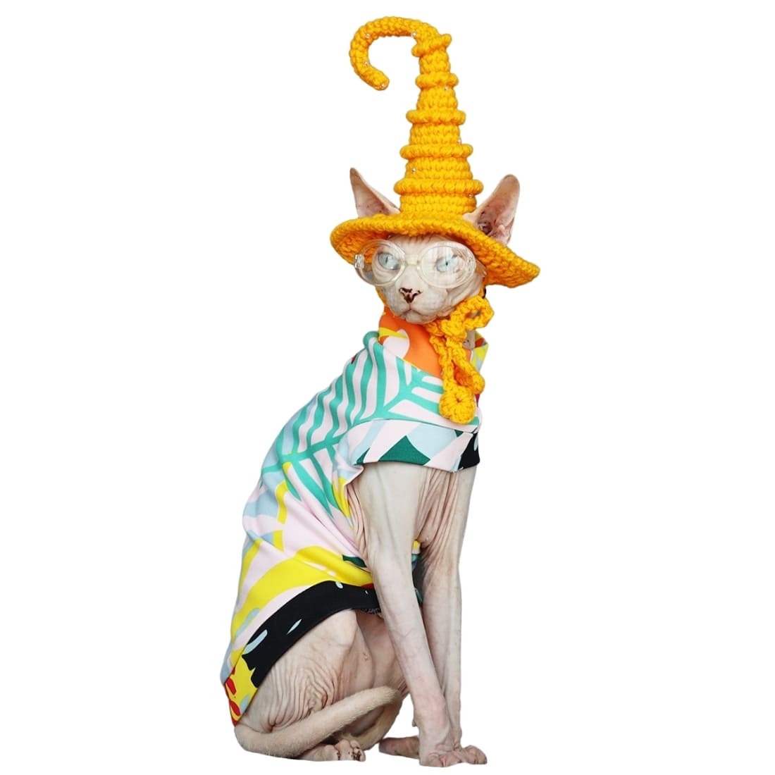 Hairless Cat In Halloween Costume | A "Must-have" Halloween Costume