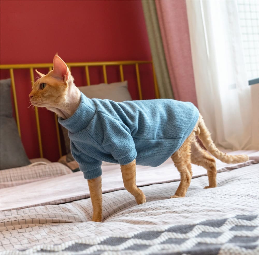 Ugly Cat Sweater | Kittens in Sweaters, Cat In Sweater Cat Sweater