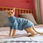 Ugly Cat Sweater | Kittens in Sweaters, Cat In Sweater Cat Sweater