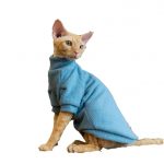 Ugly Cat Sweater | Kittens in Sweaters, Cat In Sweater Cat Sweater