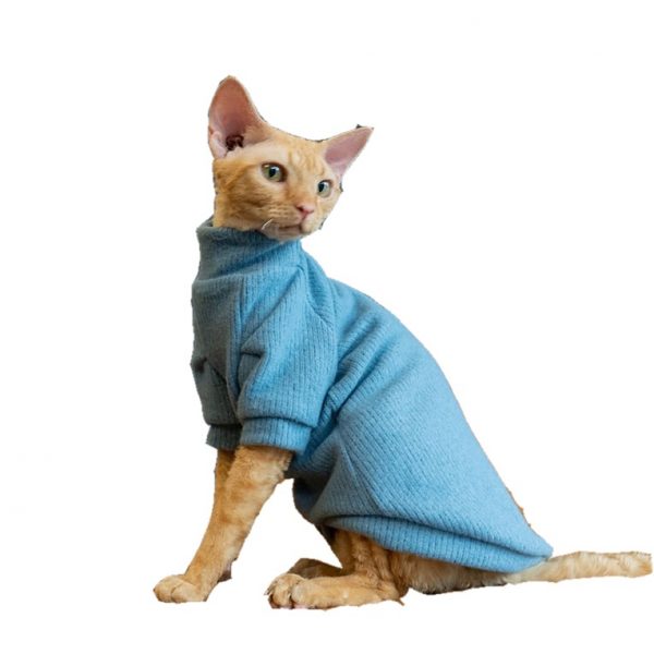 Ugly Cat Sweater | Kittens in Sweaters, Cat In Sweater Cat Sweater