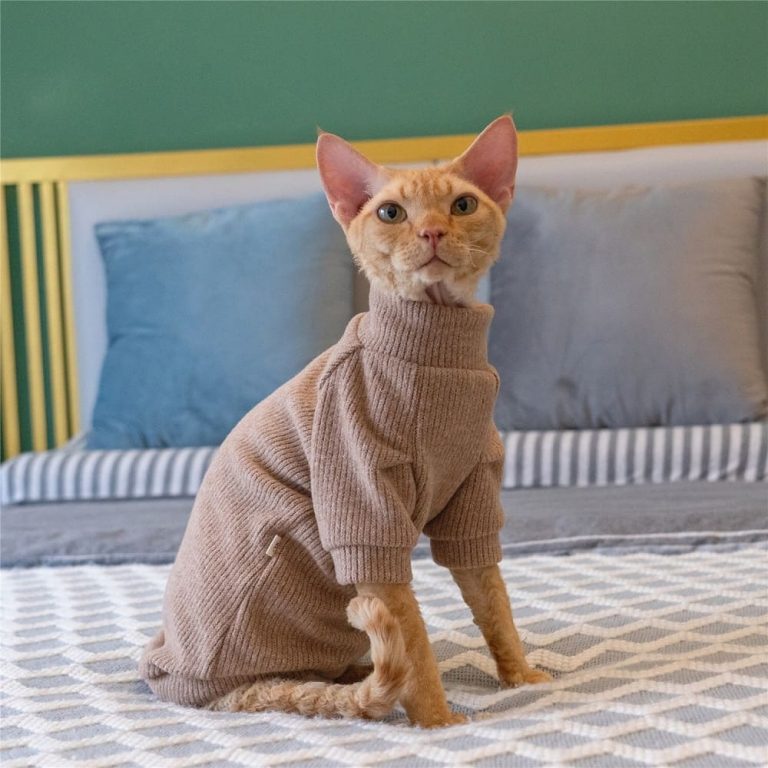 Hairless Cat Cute Sweater Cat Sweater, Ugly Cat SweaterTurtleneck