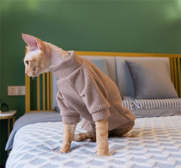 Ugly Cat Sweater | Kittens in Sweaters, Cat In Sweater Cat Sweater