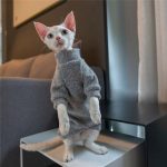 Ugly Cat Sweater | Gatitos en suéteres, gato en suéter suéter de gato