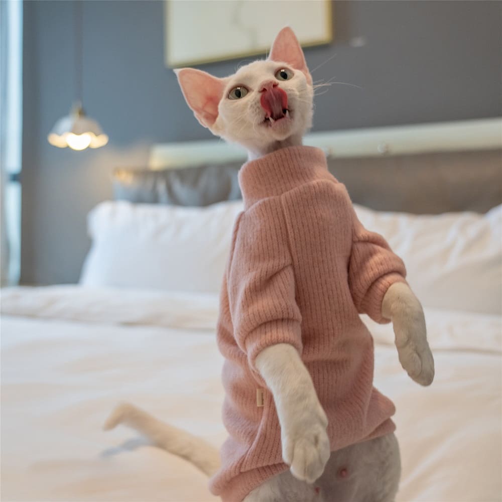 Cozy Sphynx Cat with Pink Knit Sweater - NeatoShop