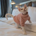 Sweaters for Sphynx Cats | Sphynx Kitten Sweater,Cat Sweater-Turtleneck
