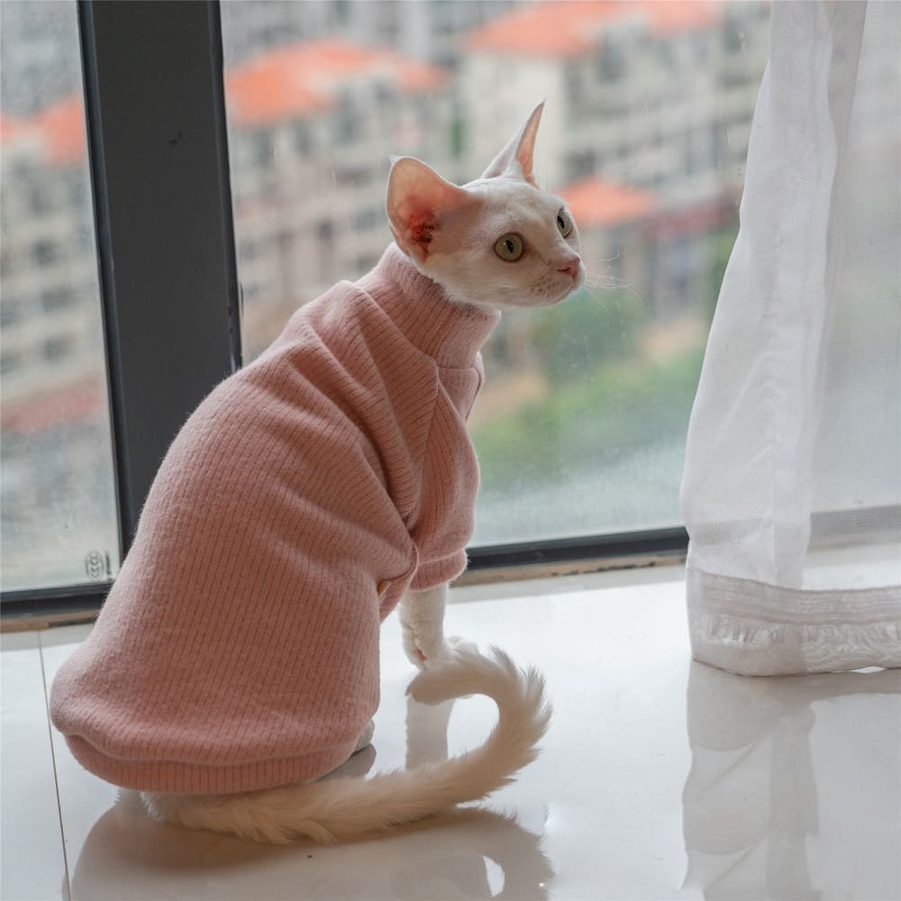 Sweaters for Cats | Hairless Cats Wearing Sweaters, Sweater with Kittens