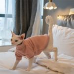 Sweaters for Sphynx Cats | Sphynx Kitten Sweater,Cat Sweater-Turtleneck