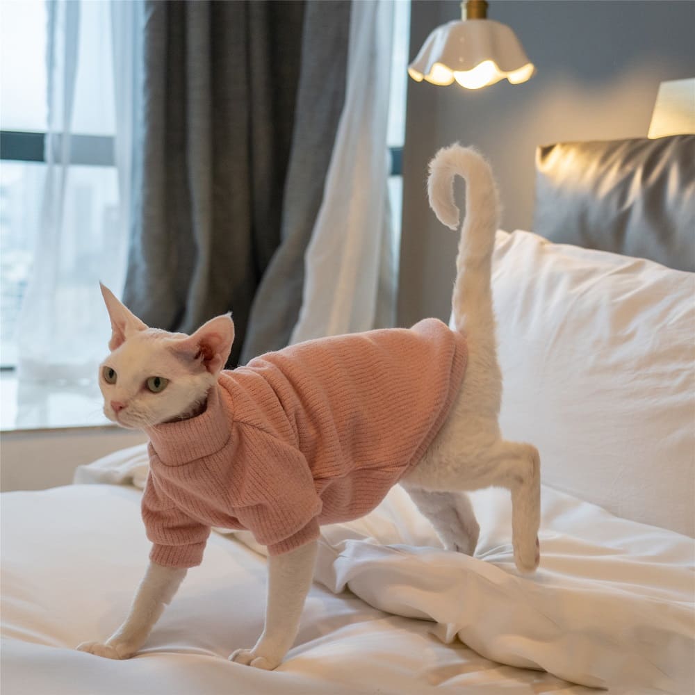 Cozy Sphynx Cat with Pink Knit Sweater - NeatoShop