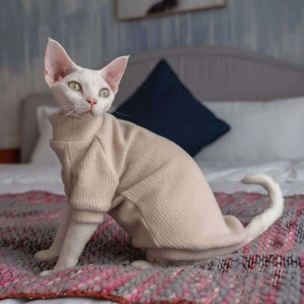 Sweaters for Sphynx Cats | Sphynx Kitten Sweater,Cat Sweater-Turtleneck