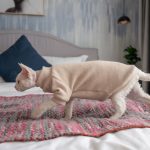 Chandails pour chats Sphynx | Chandail pour chat Sphynx,Chandail pour chat à col roulé