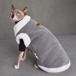 Gatto che indossa i vestiti invernali | Gatto Sphynx Cappotto invernale, Pile reversibile