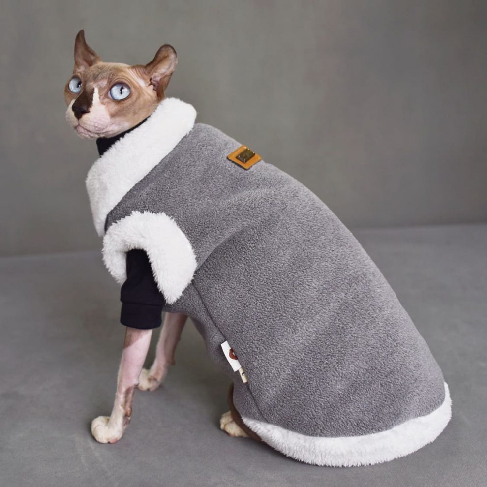 Cat Wearing Winter Cloth Sphynx Cat Winter Coat, Reversible Fleece