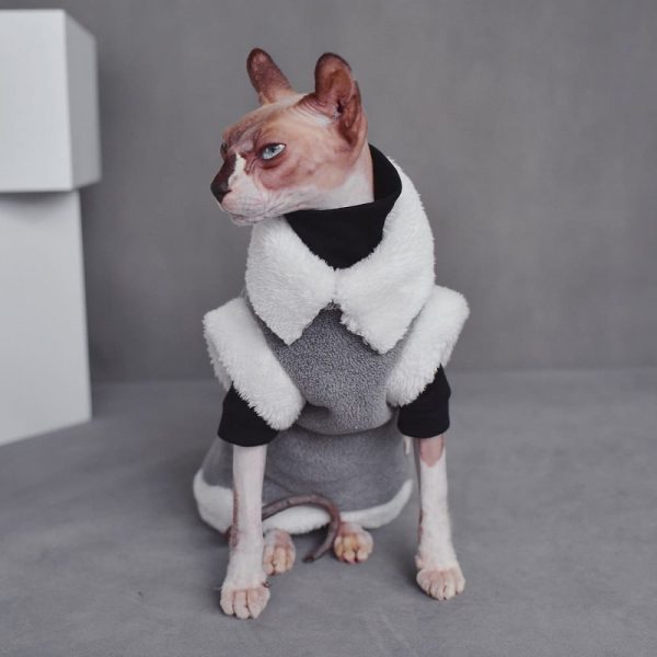 Cat Wearing Winter Clothes | Sphynx Cat Winter Coat, Reversible Fleece