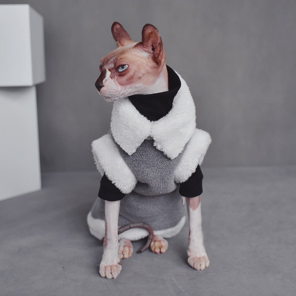 Cat Wearing Winter Cloth  Sphynx Cat Winter Coat, Reversible Fleece