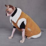 Cat Wearing Winter Clothes | Sphynx Cat Winter Coat, Reversible Fleece