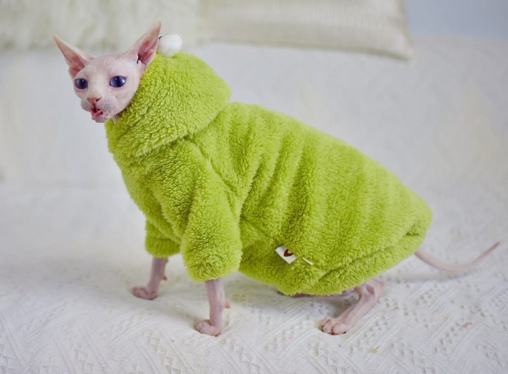 Winter Clothes for Cats Cat Apparel, Double Sided Lamb Cashmere