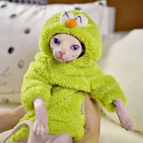 Winter Clothes for Cats Cat Apparel, Double Sided Lamb Cashmere