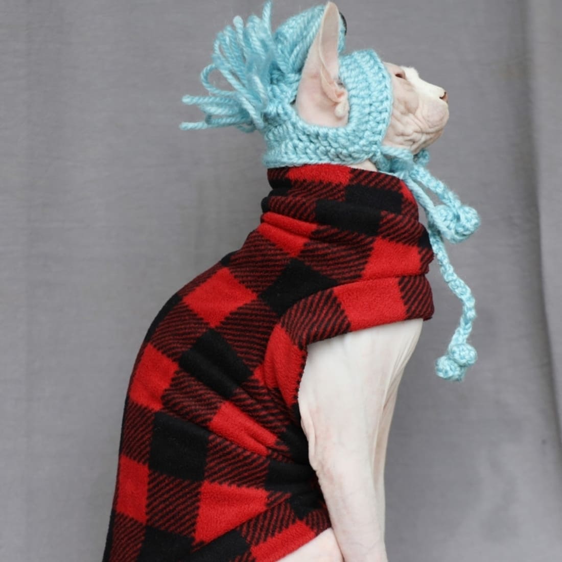 Hairless Cat In Winter Coat | Cat Clothes-Retro color-Polar fleece