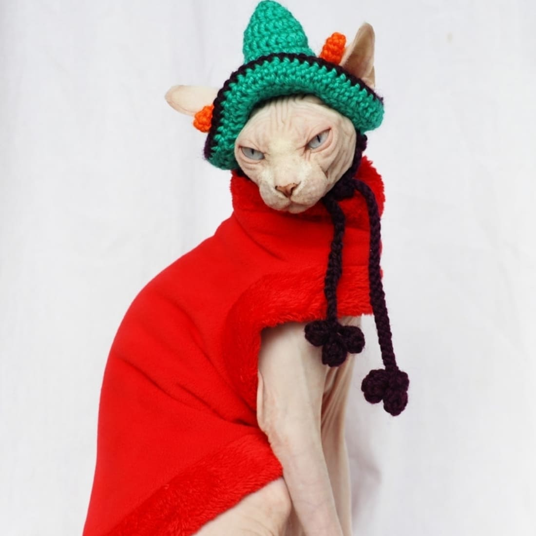 sphynx coat