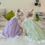 Summer Lace Dresses for Kittens