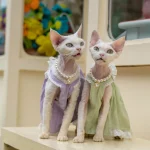 Summer Lace Dresses for Kittens