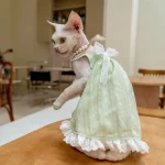 Summer Lace Dresses for Kittens - Green