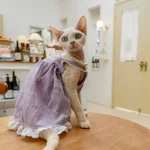 Summer Lace Dresses for Kittens - Purple
