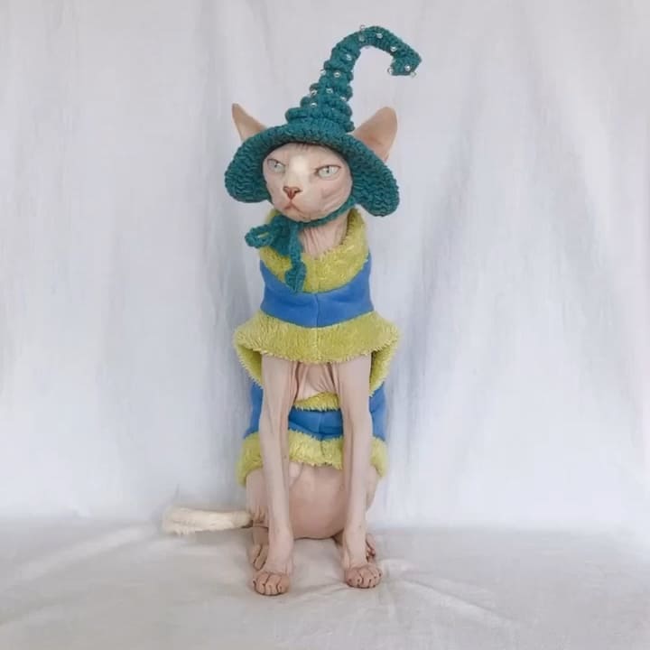 A "Must-have" cat halloween costumes
