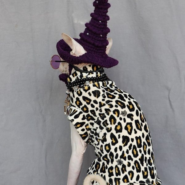 A "Must-have" Halloween Costume for cats