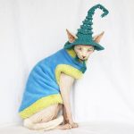 A "Must-have" cat halloween costumes