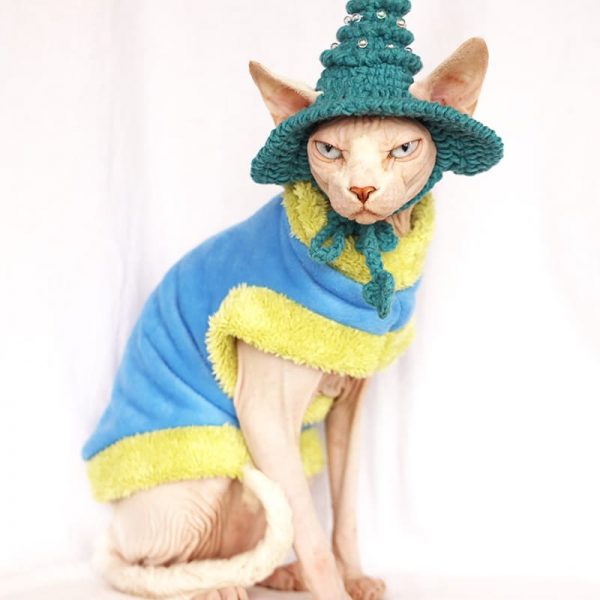 A "Must-have" cat halloween costumes