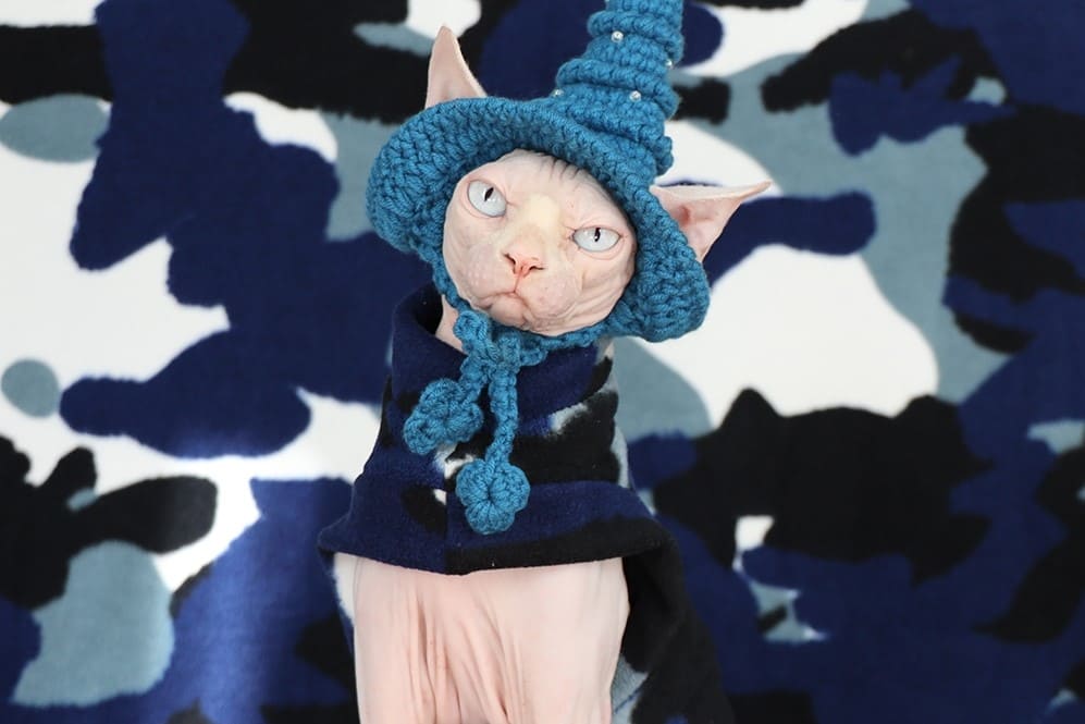 A “Must-Have” cat halloween costumes for cats