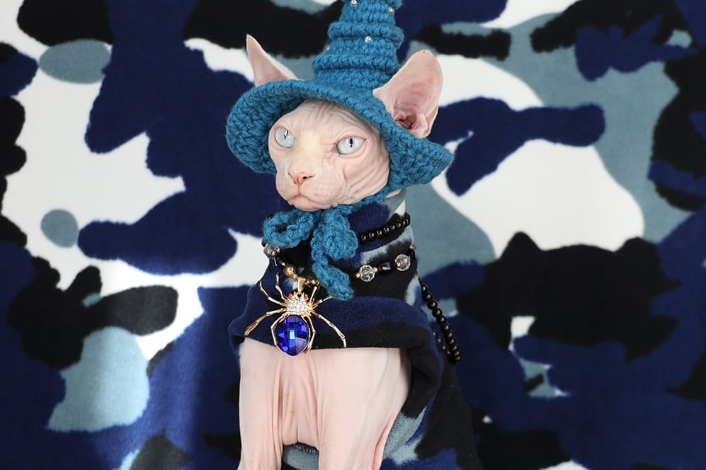 A “Must-Have” cat halloween costumes for cats