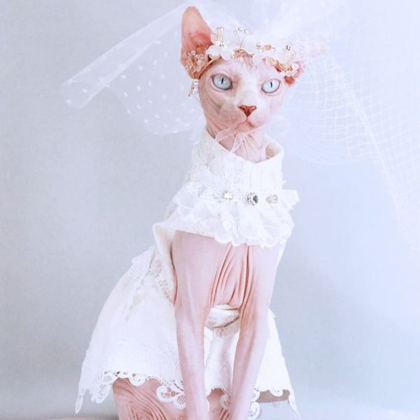 Dresses for Cats YESWARMG