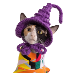 Cat With Witch Hat | Hat For Cat, Hand-knitted Woolen Hat, Cap For Cats