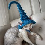 Cat With Witch Hat | Hat For Cat, Hand-knitted Woolen Hat, Cap For Cats