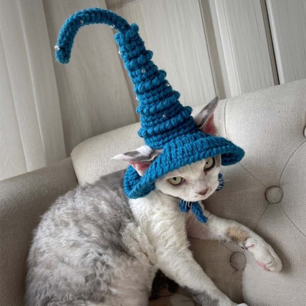 Gatto con cappello da strega | Cappello per gatto, cappello di lana lavorato a mano, berretto per gatti
