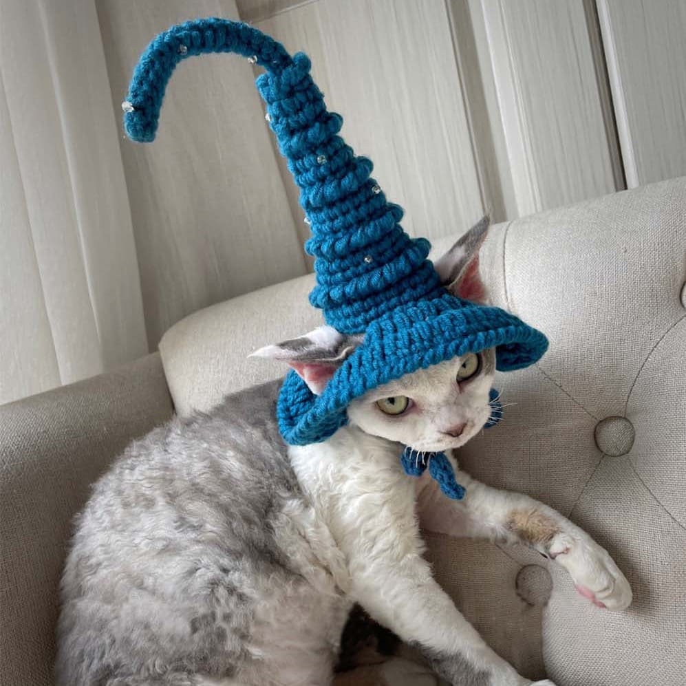 Cat With Witch Hat | Hat For Cat, Hand-knitted Hat, Cap For Cats