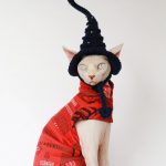 Katze mit Hexenhut | Hut für Katze, handgestrickte Wollmütze, Mütze für Katzen