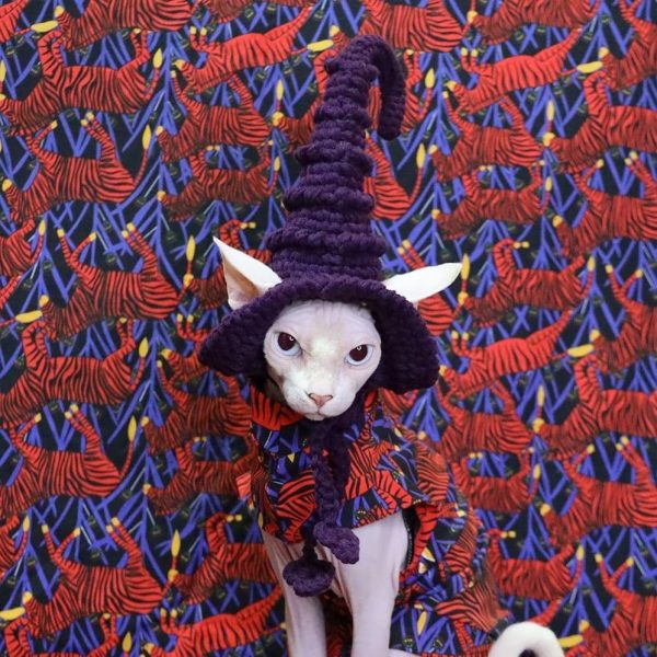 Cat With Witch Hat | Hat For Cat, Hand-knitted Woolen Hat, Cap For Cats