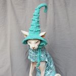 Cat With Witch Hat | Hat For Cat, Hand-knitted Woolen Hat, Cap For Cats