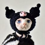 猫用ペットコート｜猫用アパレル、猫の着ぐるみ、小悪魔の冬セーター