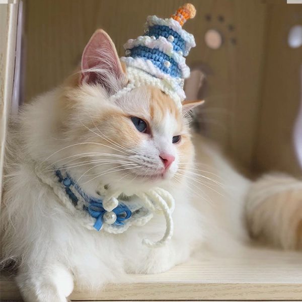 猫の誕生日ケーキの帽子 誕生日帽子をかぶった猫、誕生日ケーキの帽子