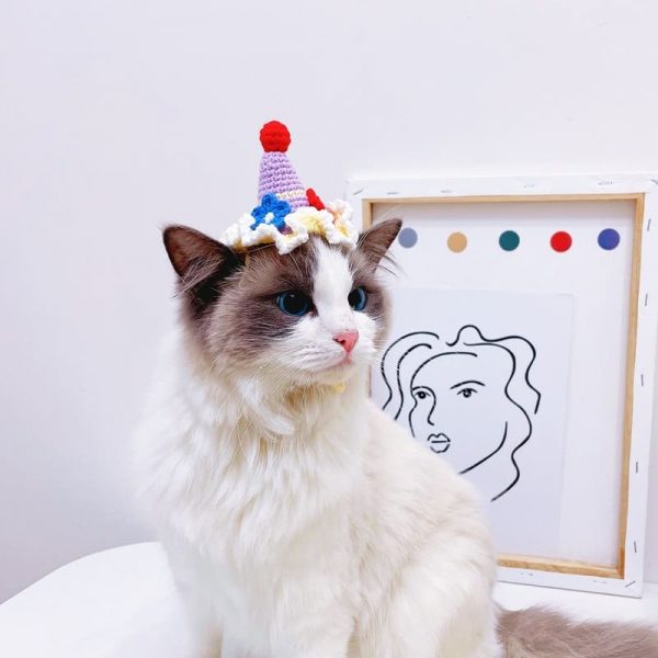 Cat Birthday Hats | Cat with A Birthday Hat, Birthday Cake Hat, Cat Apparel