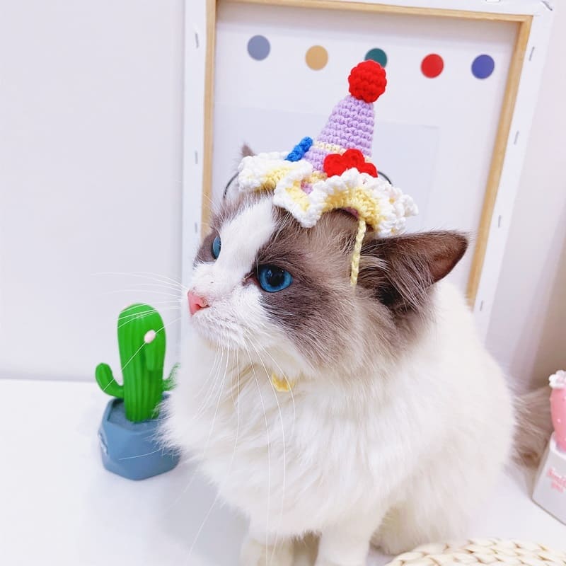 Cappelli di compleanno per gatti, cappelli per torte di compleanno, abbigliamento per gatti